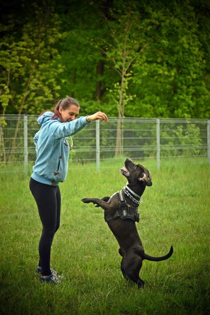 positive reinforcement dog training with owner rewarding a dog